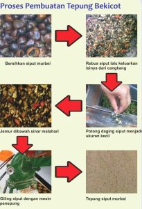 Tepung Ikan Rucah