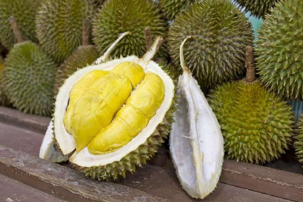 19 Manfaat Kandungan Nutrisi Buah Durian.