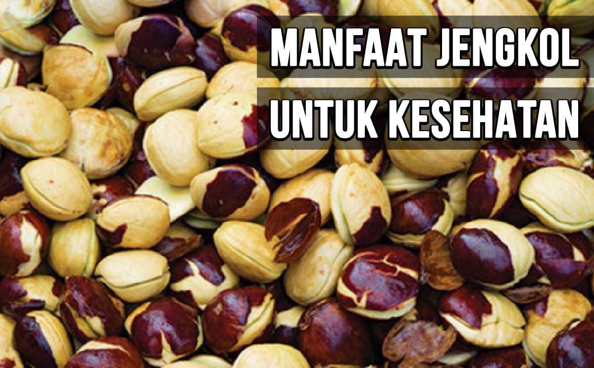 Manfaat Jengkol Untuk Kesehatan, Berikut Cara Aman Konsumsinya