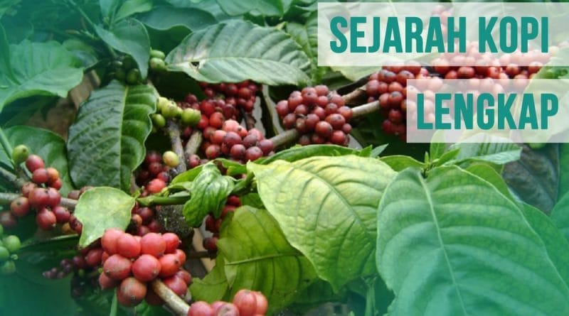 Sejarah Kopi Lengkap, Ternyata Bukan dari Indonesia