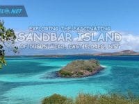 Exploring The Fascinating Sandbar Island of Dusun Meko, East Flores, NTT