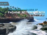 The Natural Wonders of Padang Betuah Beach in Bengkulu - Beauty, Access and Facilities