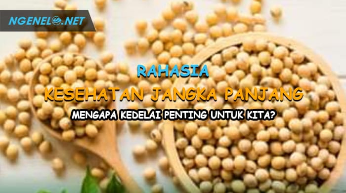 Rahasia Kesehatan Jangka Panjang, Mengapa Kedelai Penting untuk Kita?