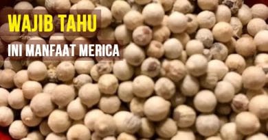 Wajib Tahu, Ini Dia Manfaat Merica Dalam Kehidupan Sehari-hari