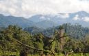 Exploring the Natural Beauty of Kaur Regency, Bukit Raje Mendare.