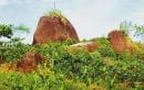 Historical Heritage Site Preserving Local Cultural Wealth, Batu Cagak Kaur