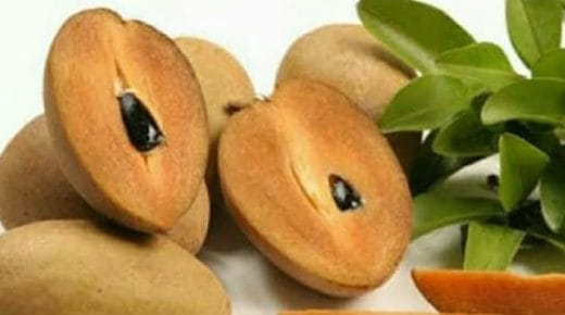 Buah Sawo yang bisa bikin awes muda.