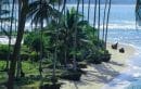 Air Long Beach, A Hidden Gem in Bengkulu.