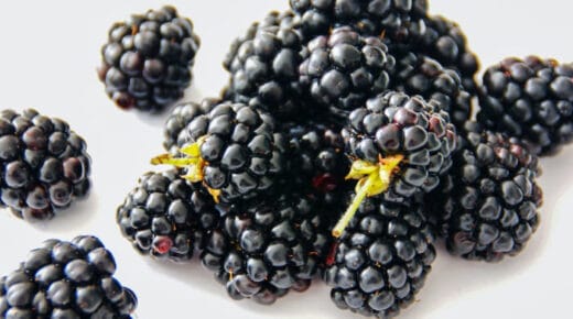 Buah Blackberry, salah satu Daftar Nama Buah "Bery." foto: pexels