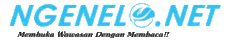 Ngenelo.net