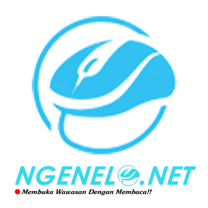 logo ngenelo.net