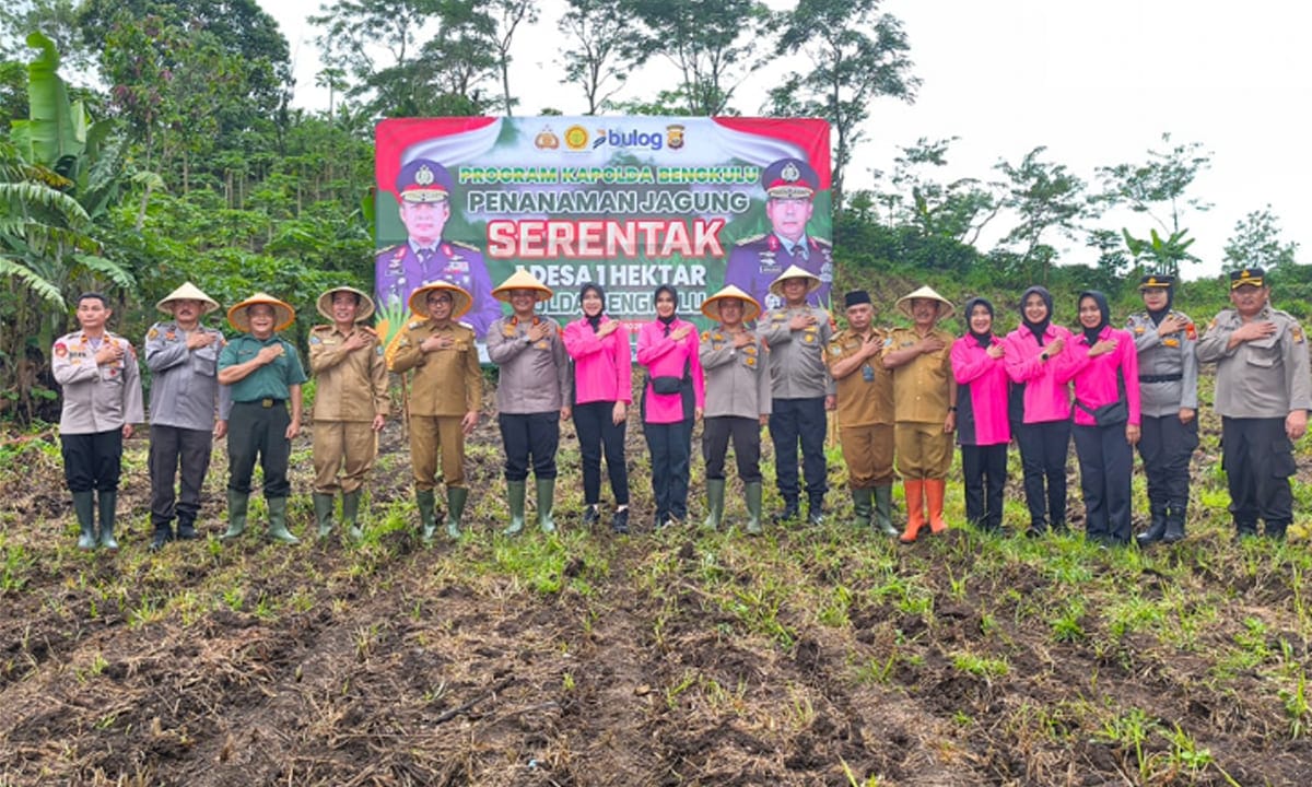 Wakil Bupati Kepahiang Sambut Baik Program Kapolda Bengkulu Penanaman Jagung Serentak - Ngenelo.net