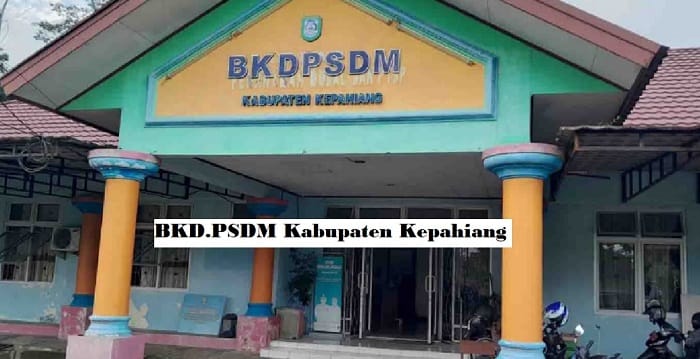 Gagal Ikut Seleksi PPPK Karena Ikut Tes CPNS 2024, Begini Penjelasan BKD.PSDM Kepahiang
