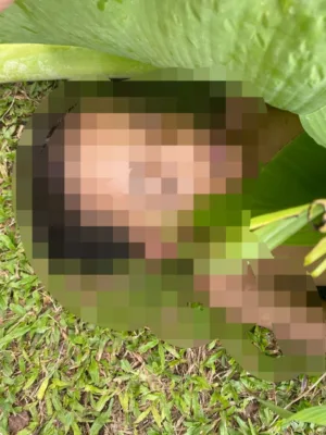 Korban tenggelam di Danau Stella Kepahiang