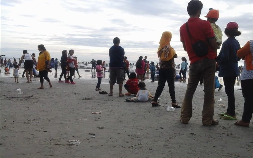 Wisatawan Tersengat Ubur-ubur di Panjat Jakat Bengkulu, Begini Cara Penanganan Cepatnya