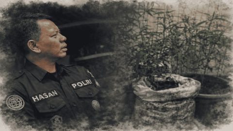 Satuan Reserse Narkoba Polres Rejang Lebong mengungkap kasus kebun ganja mini yang di tanam di rumah warga. Foto - Ngenelo.net