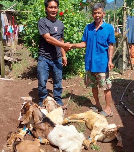 Bibit kambing dalam program penggemukan diserahkan kepada warga pengelola
