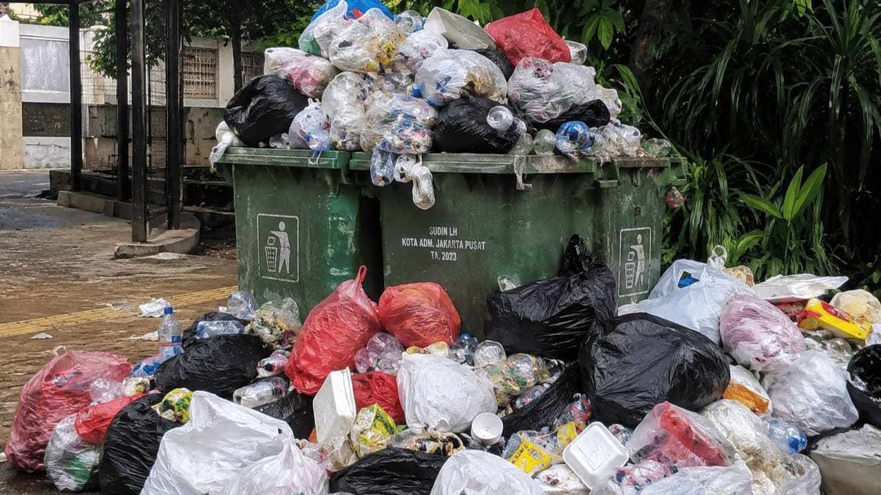 Budidaya Maggot Jadi Senjata Baru Atasi Sampah di Kota Bengkulu