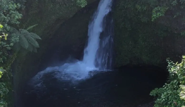 Yuk Berwisata ke Air Terjun Palak Siring