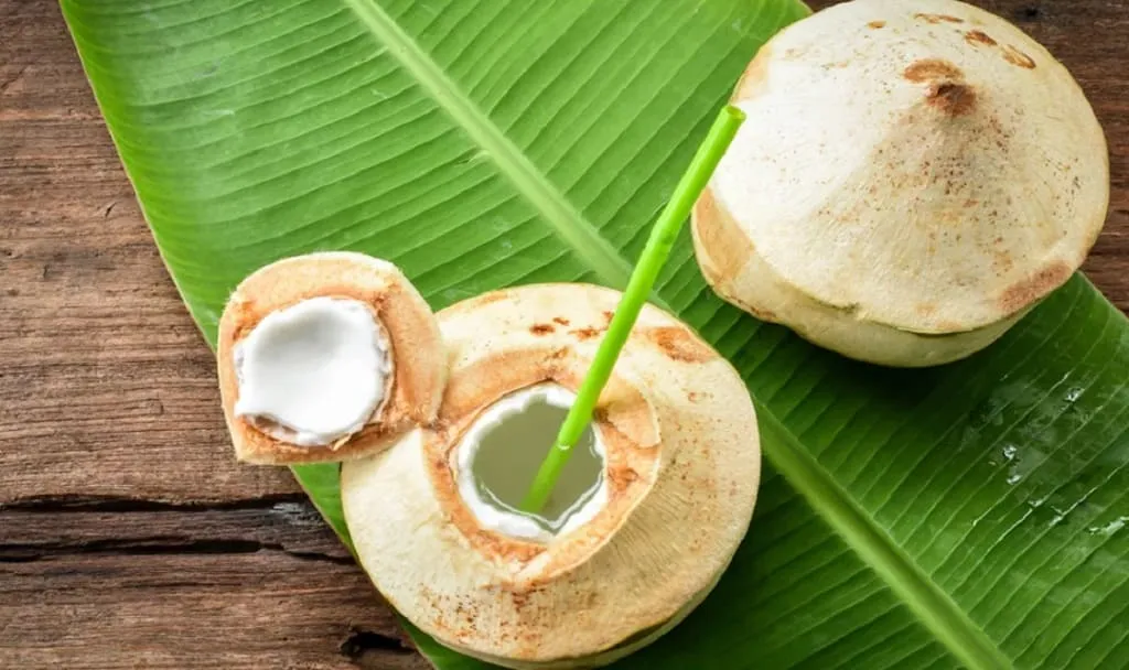 Air Kelapa Muda Bisa Bikin Istri Cepat Hamil, Benarkah? foto: klikdokter