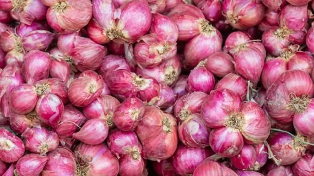 Manfaat Bawang Merah dalam Kesehatan, Bumbu Masak yang Selalu Ada di Dapur