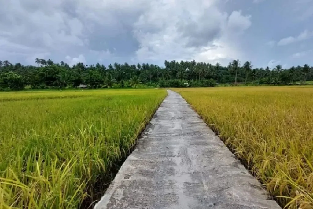 South Bengkulu Agrotourism Tourism Destination Batu Putih Beach, Bengkulu-Indonesia