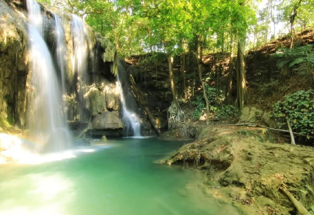 WhatsApp Image 2023 05 11 At 11.51.05 1