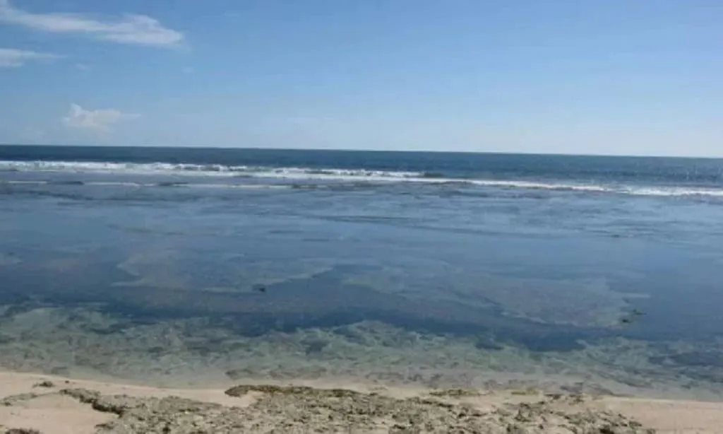 Way Hawang Kaur Beach, Bengkulu Province-Indonesia