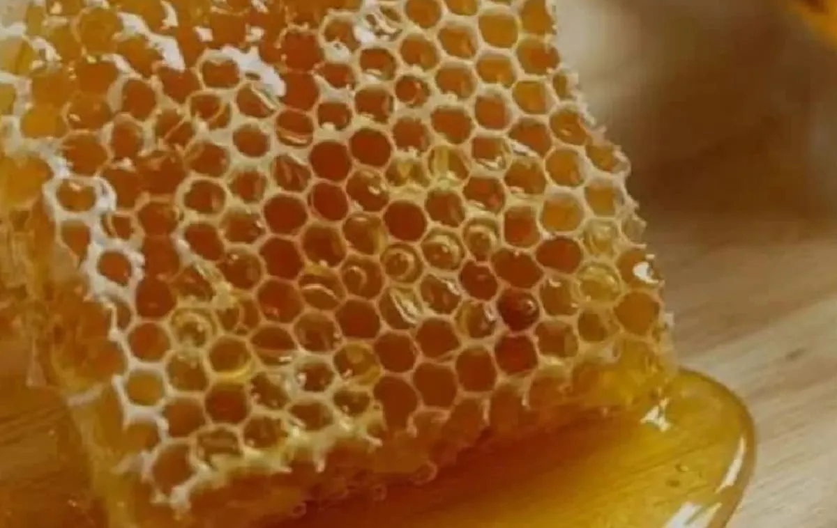 Begini Cara Membedakan Madu Asli Dan Madu Palsu, Dapatkan Berbagai Macam Manfaat Dari Madu Asli