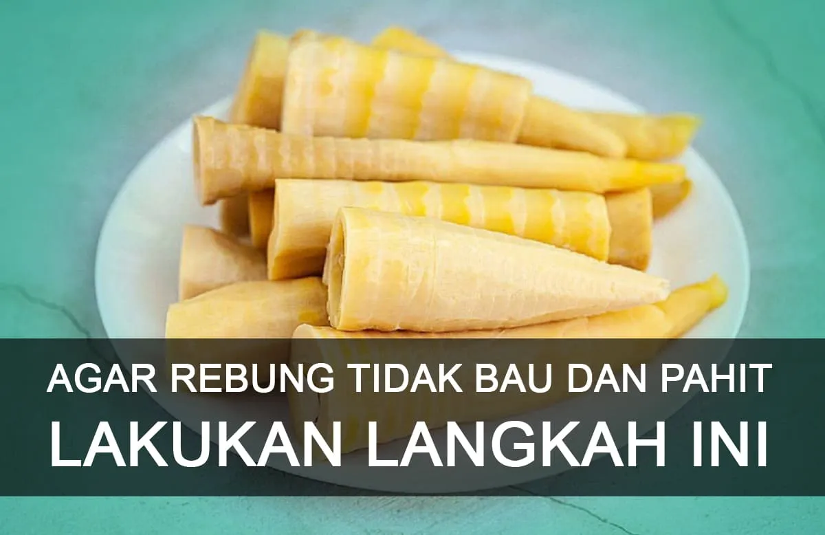 Agar Rebung Tidak Bau dan Pahit, Lakukan Langkah Ini
