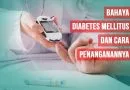 Jangan Diremehkan, Ini Bahaya Diabetes Mellitus dan Cara Penanganannya