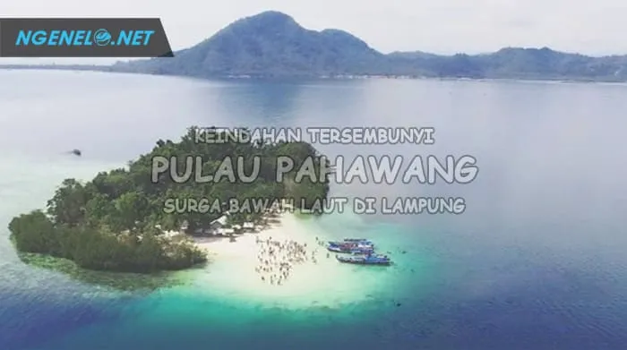 Keindahan Tersembunyi Pulau Pahawang, Surga Bawah Laut di Lampung