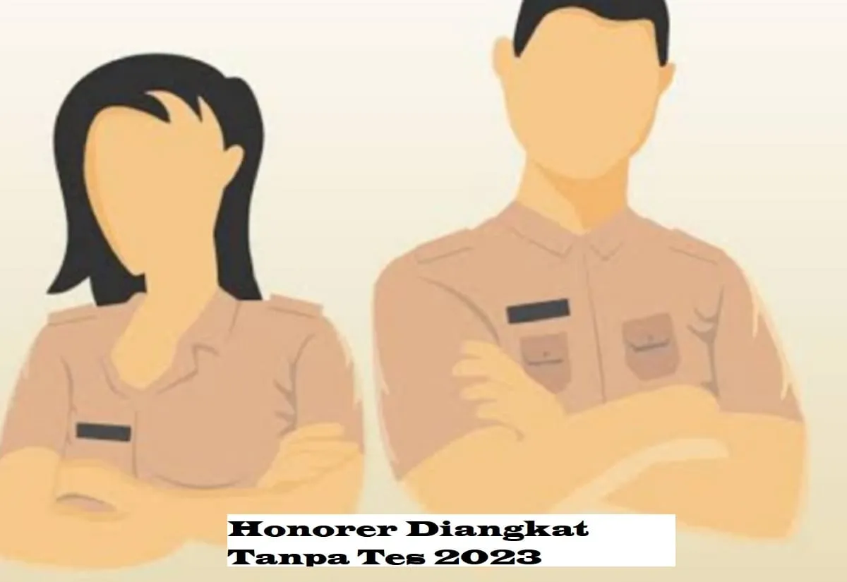 Ini Dia Kriteria Honorer Langsung Diangkat jadi ASN, Kalian Termasuk?