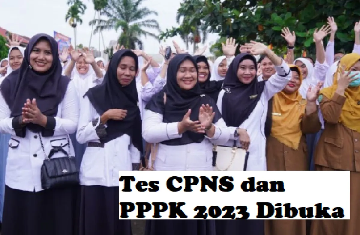 Kabar gembiran buat honorer, tes cpns dan pppk 2023 dibuka, cek gaji terkini