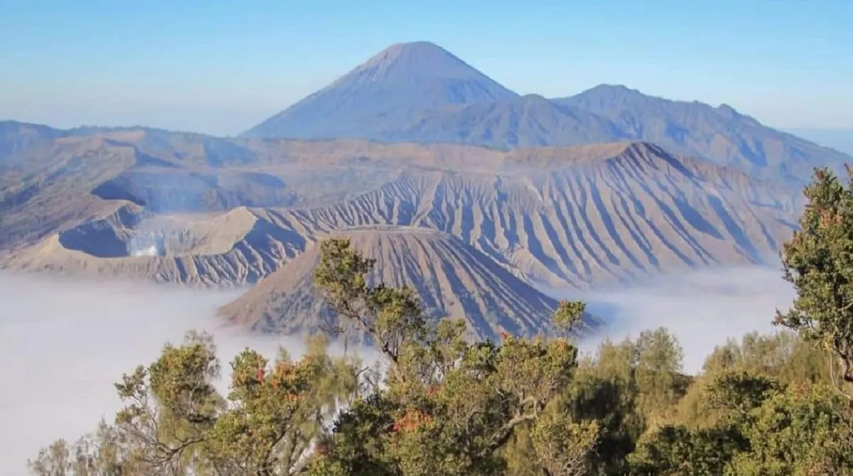 Selain Sunrise, Ini 9 Destinasi Wisata Gunung Bromo yang Memikat Wisatawan