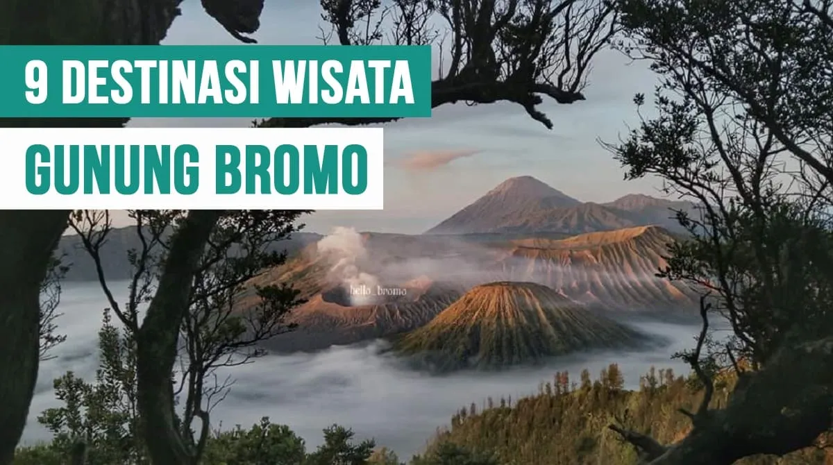 Selain Sunrise, Ini 9 Destinasi Wisata Gunung Bromo yang Memikat Wisatawan