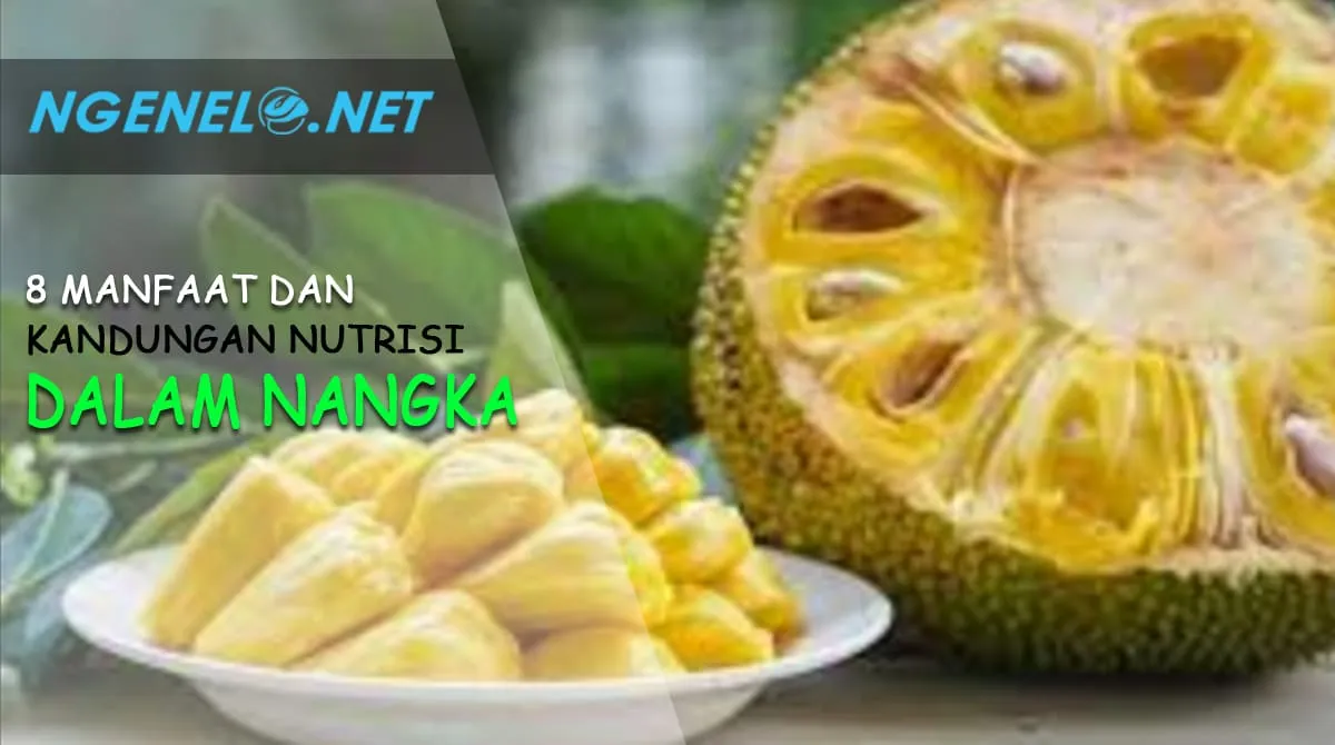 Jarang yang Tahu, Ini 8 Manfaat dan Kandungan Nutrisi dalam Nangka untuk Kesehatan Tubuh