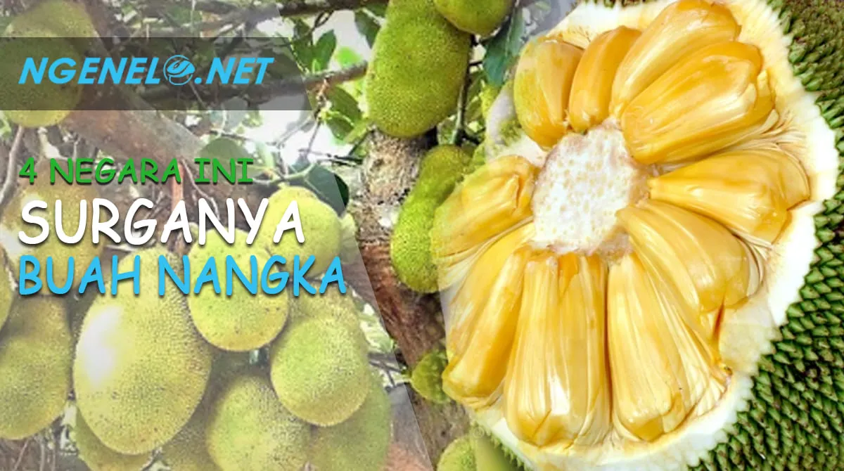 Kelezatan Tropis, 4 Negara Ini Surganya Buah Nangka