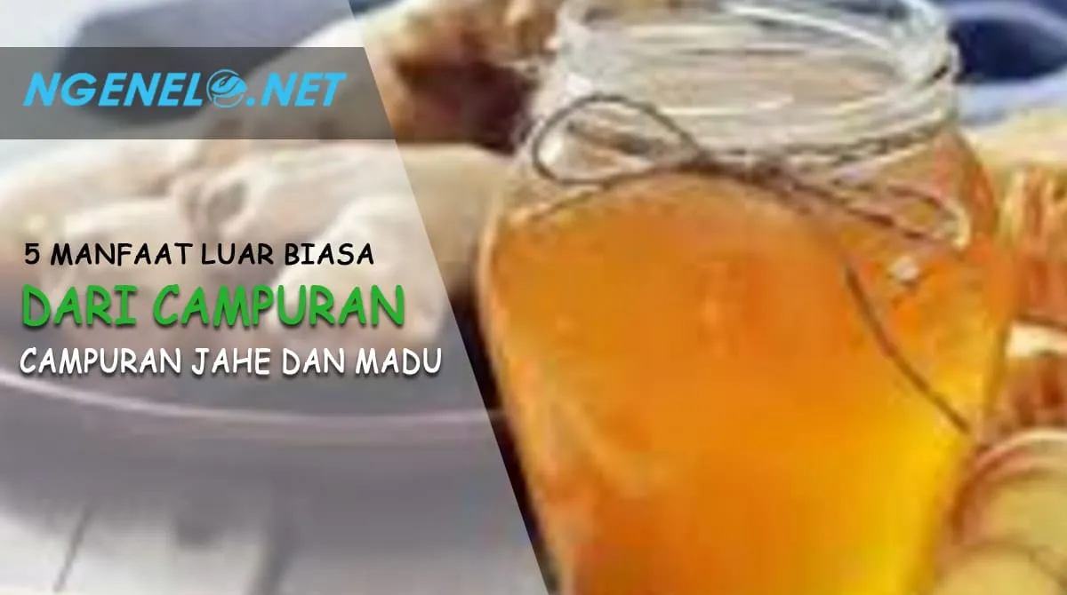 Jangan Ragukan Lagi, Ini Dia 5 Manfaat Luar Biasa dari Campuran Jahe dan Madu untuk Kesehatan Tubuh