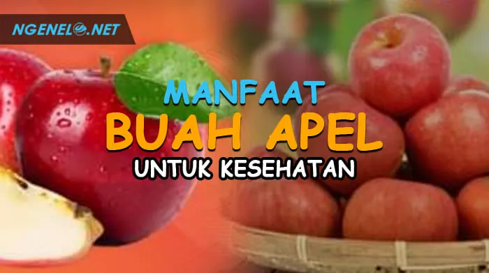 Manfaat Buah Apel untuk Kesehatan, Mengupas Kebaikan dan Menghadapi Potensi Bahaya Tersembunyi