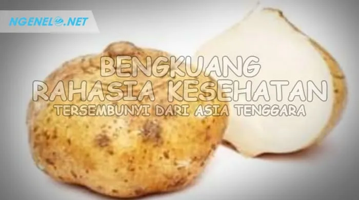 Bengkuang, Rahasia Kesehatan Tersembunyi dari Asia Tenggara