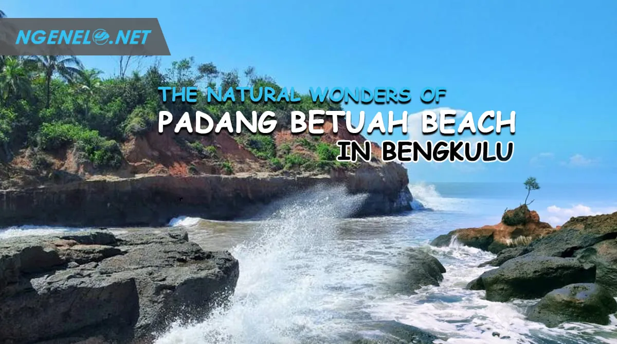 The Natural Wonders of Padang Betuah Beach in Bengkulu - Beauty, Access and Facilities
