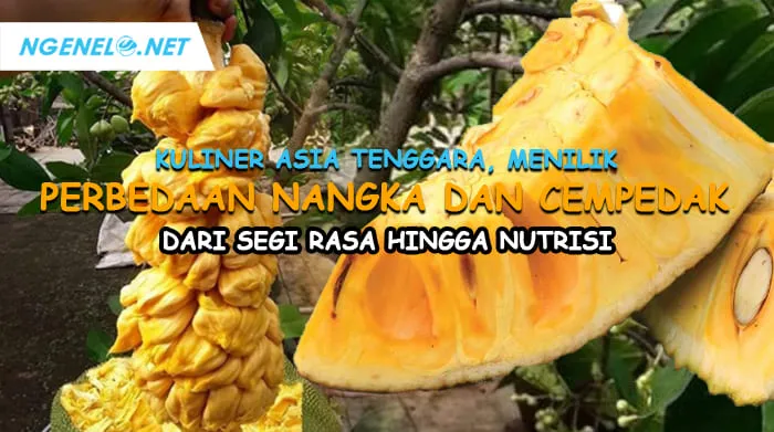 Kuliner Asia Tenggara, Menilik Perbedaan Nangka dan Cempedak dari Segi Rasa hingga Nutrisi