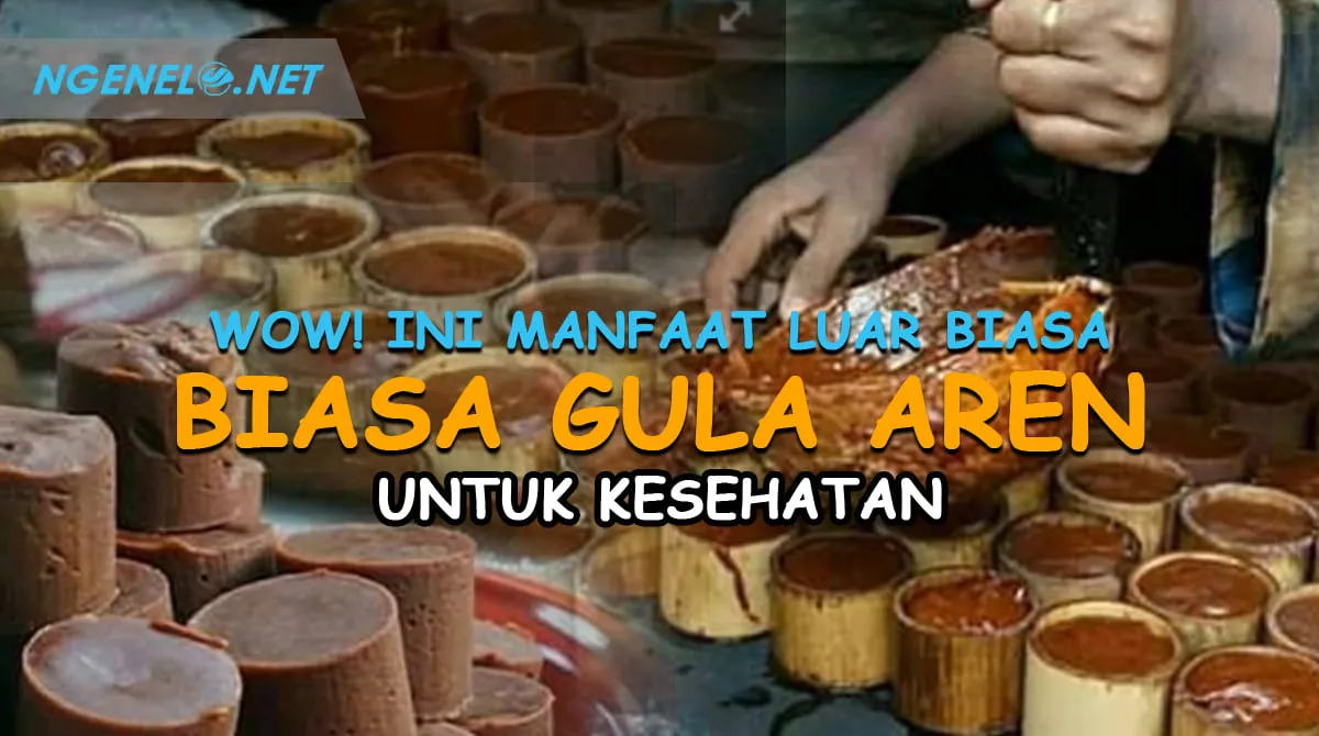 Wow! Ini Manfaat Luar Biasa Gula Aren untuk Kesehatan