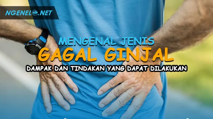 Mengenal Jenis Gagal Ginjal Dampak dan Tindakan yang Dapat Dilakukan