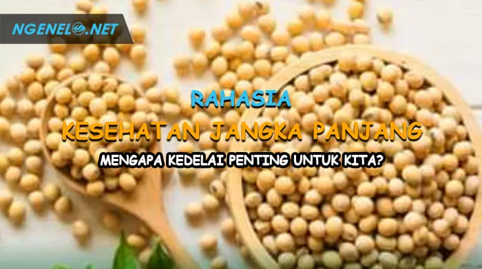 Rahasia Kesehatan Jangka Panjang, Mengapa Kedelai Penting untuk Kita?