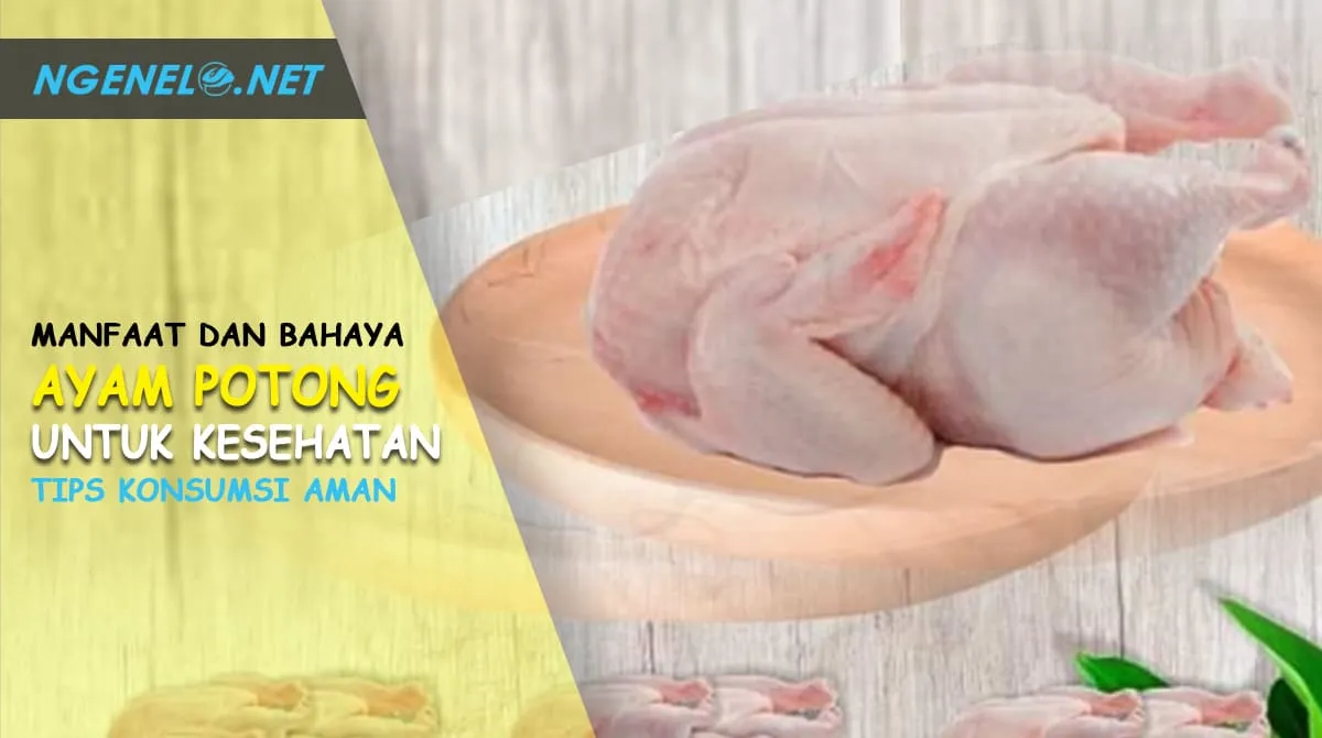 Bunda Harus Tahu! Ini Manfaat dan Bahaya Ayam Potong untuk Kesehatan, Berikut Tips Konsumsi Amannya