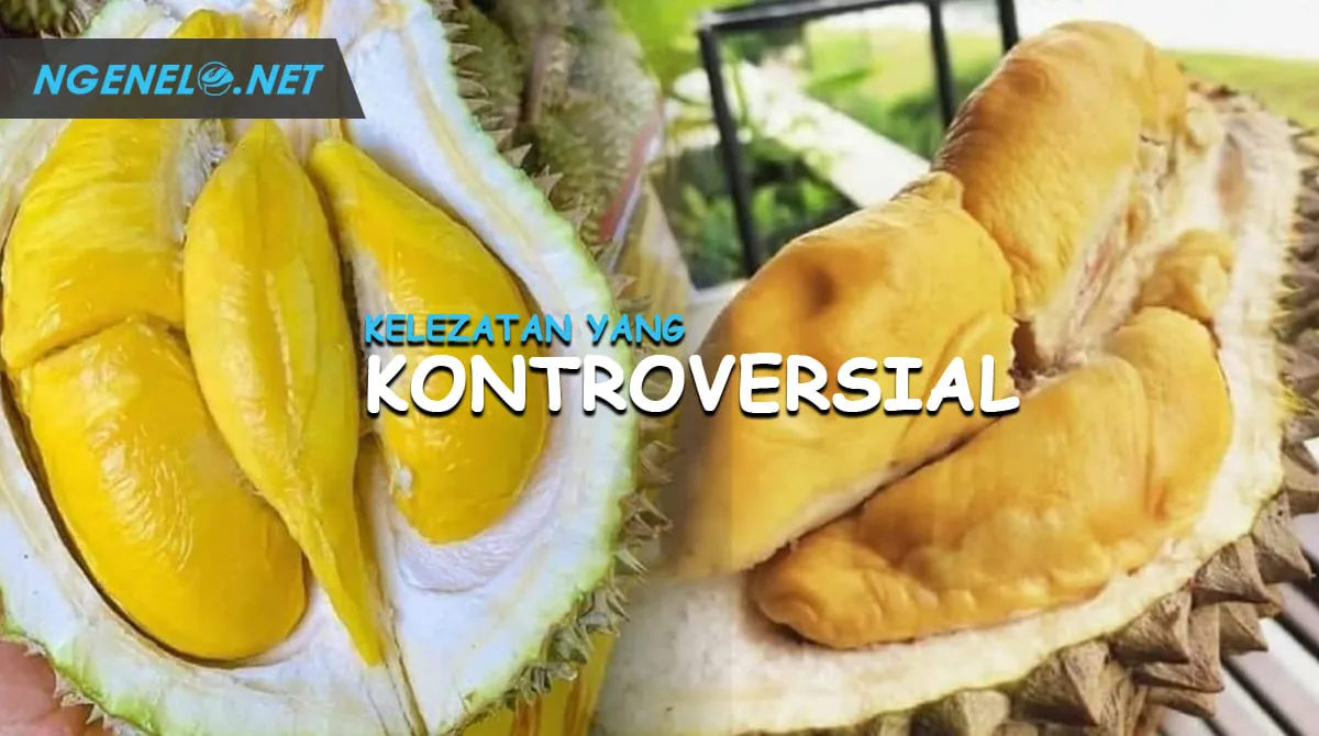 Manfaat Durian dan Bahaya dalam Kesehatan - Kelezatan yang Kontroversial