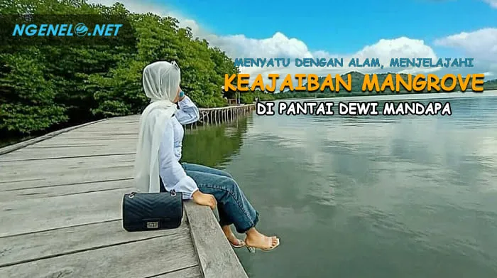 Menyatu dengan Alam, Menjelajahi Keajaiban Mangrove di Pantai Dewi Mandapa, Pesawaran, Lampung