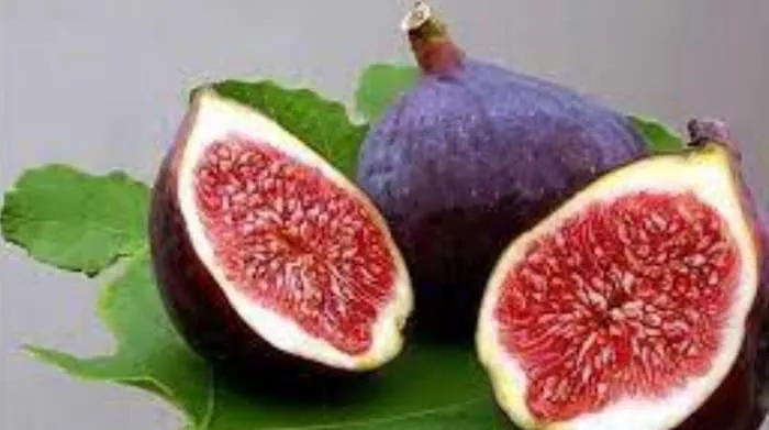 Makna dan Keistimewaan Buah Tin Dan Surat At-Tin dalam Al Quran.